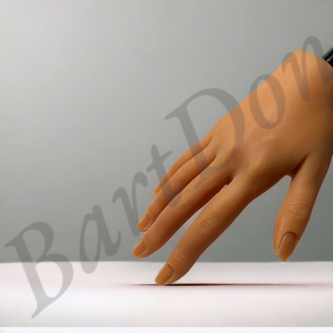 Εκπαιδευτικό ρεαλιστικό χέρι μανικιούρ